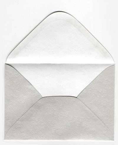 Decorative metallic envelope - butterflies and flowers C6