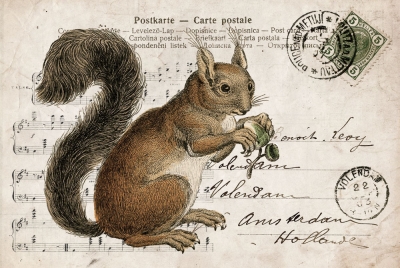 Collage with a squirrel
