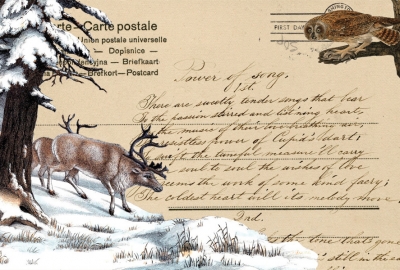 Winter collage