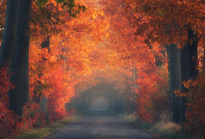 Autumn impressions