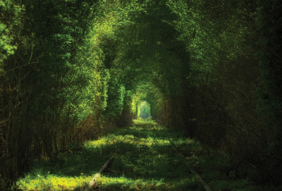 Tunel miłości
