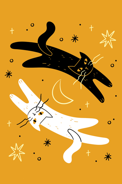 White Cat & Black Cat