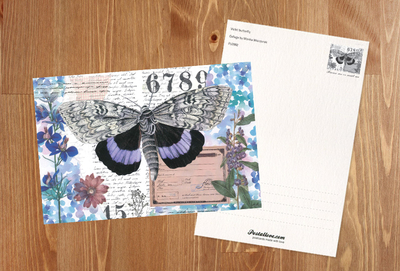 Marika Wieczorek - Violet butterfly