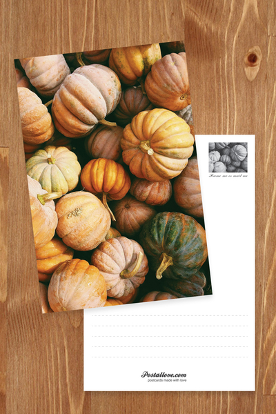 Autumn Pumpkins 