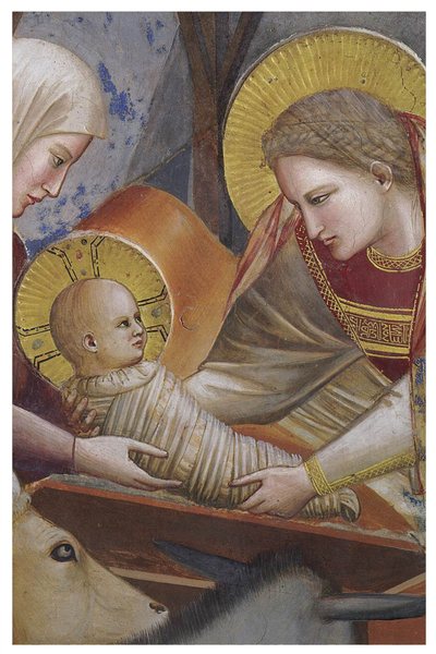 Giotto di Bondone, The Nativity