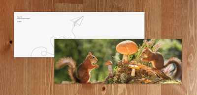 Bookmark - Squirrels