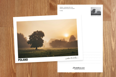 Poland - Love to be here... - Podlasie jesienią - samotne drzewo
