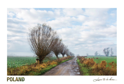 Poland - Love to be here... - Wiosenne wierzby