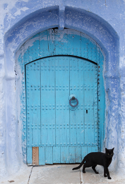 Blue door & black cat