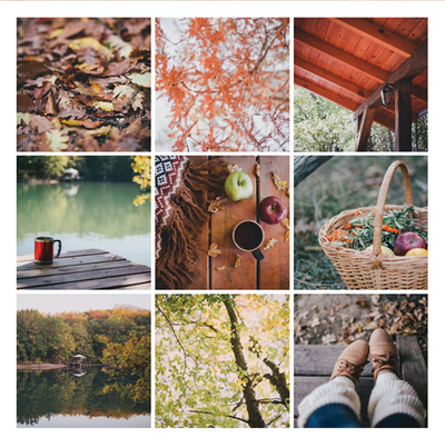Autumn mosaic
