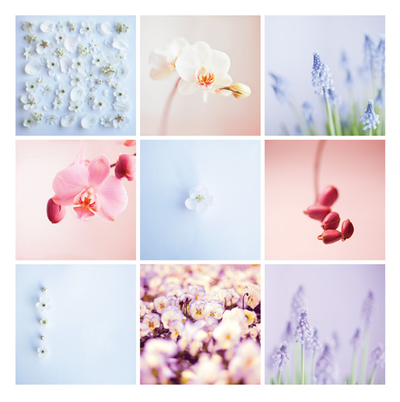 Floral mosaic