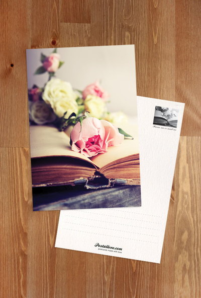 Roses and old book