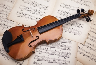 Violin