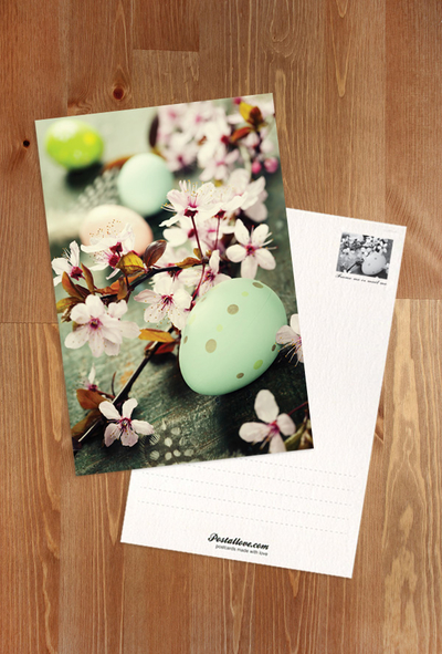 Easter apple blossoms