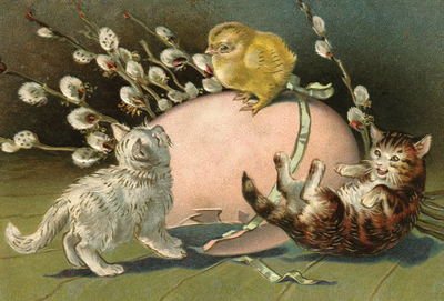 Easter cats & chicken
