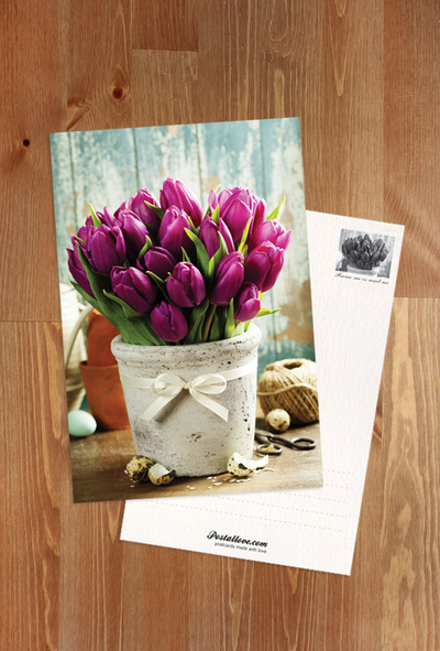 Wiosenne tulipany