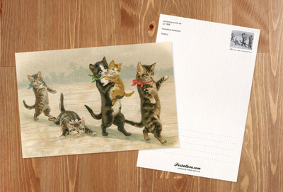Cat family on the ice