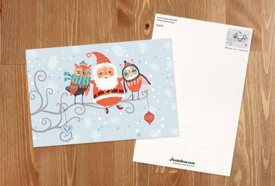 Santa Claus and owls