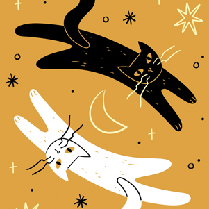 White Cat & Black Cat