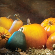 Still life with pumpkins