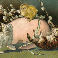 Easter cats & chicken