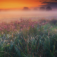 Dawn