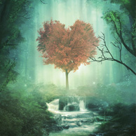 Heart-shaped tree
